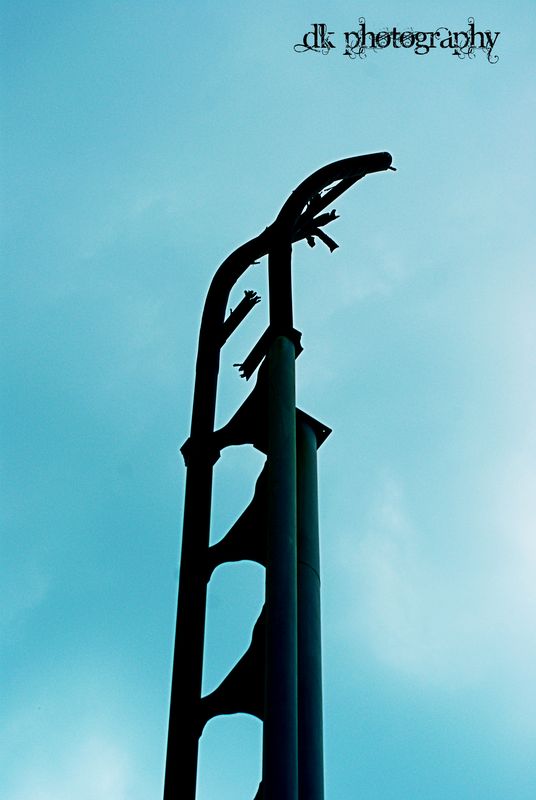 thumb-1316182776777-dsc03098